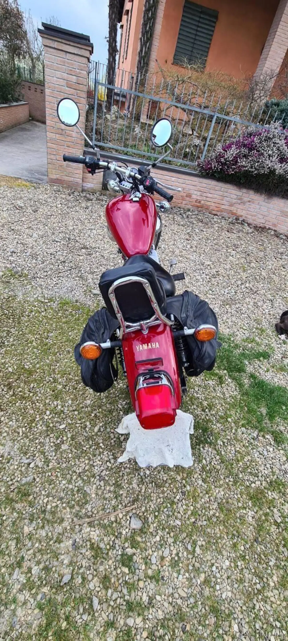 Yamaha XV 250 (1991 - 94) (4)