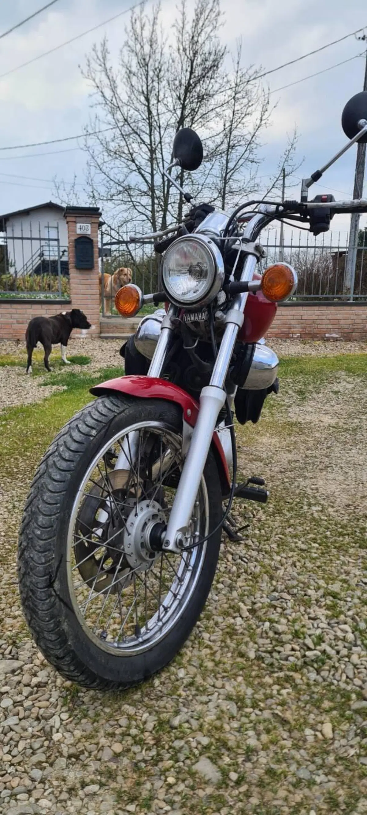 Yamaha XV 250 (1991 - 94) (6)