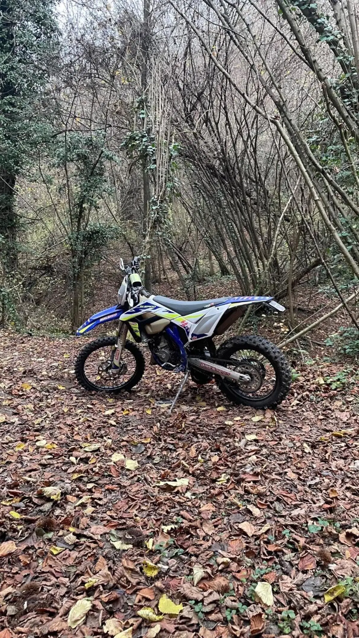 Sherco 125 SE Factory (2021) (2)