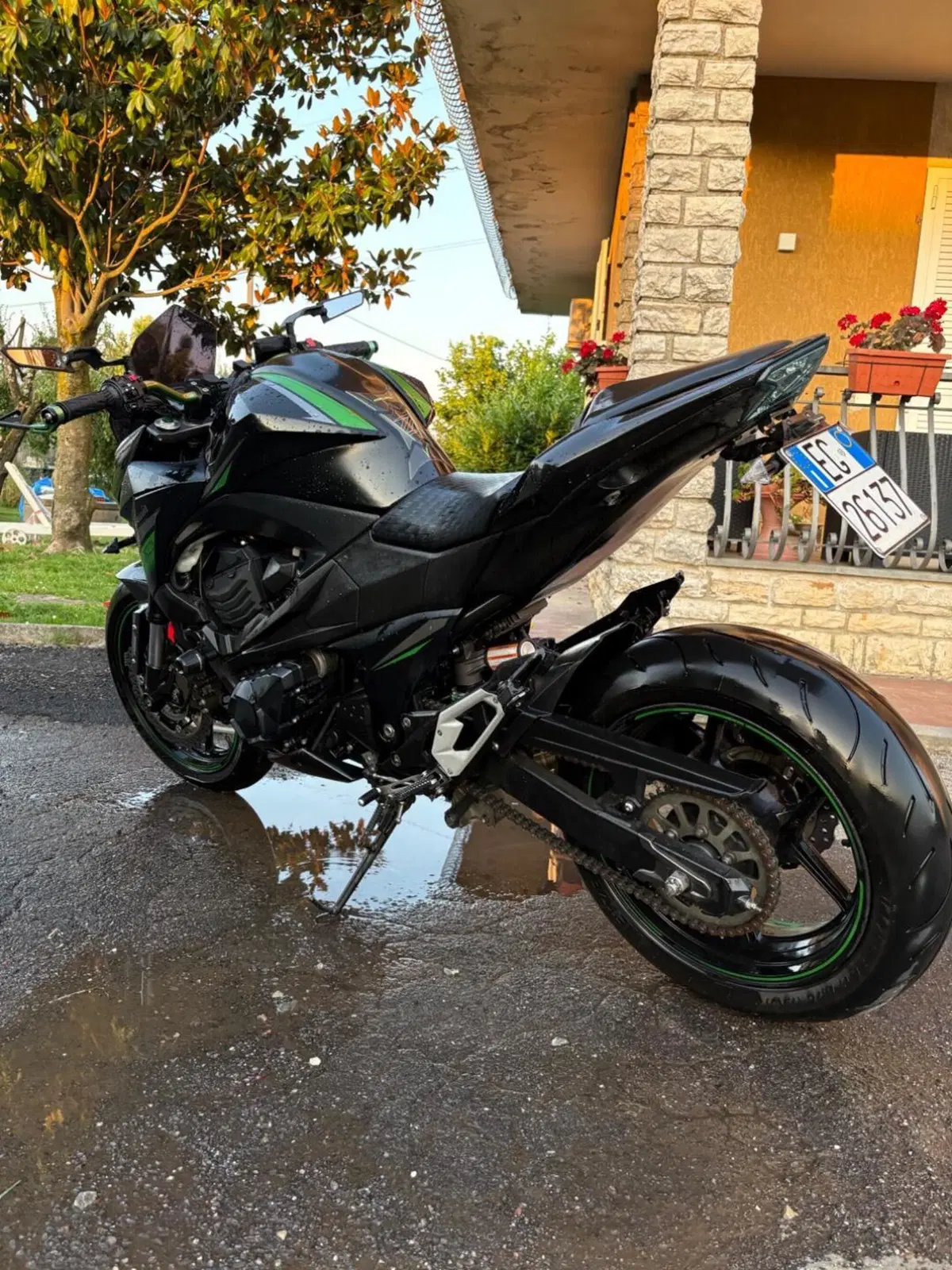 Kawasaki Z 800 e ABS (2012 - 16) (5)