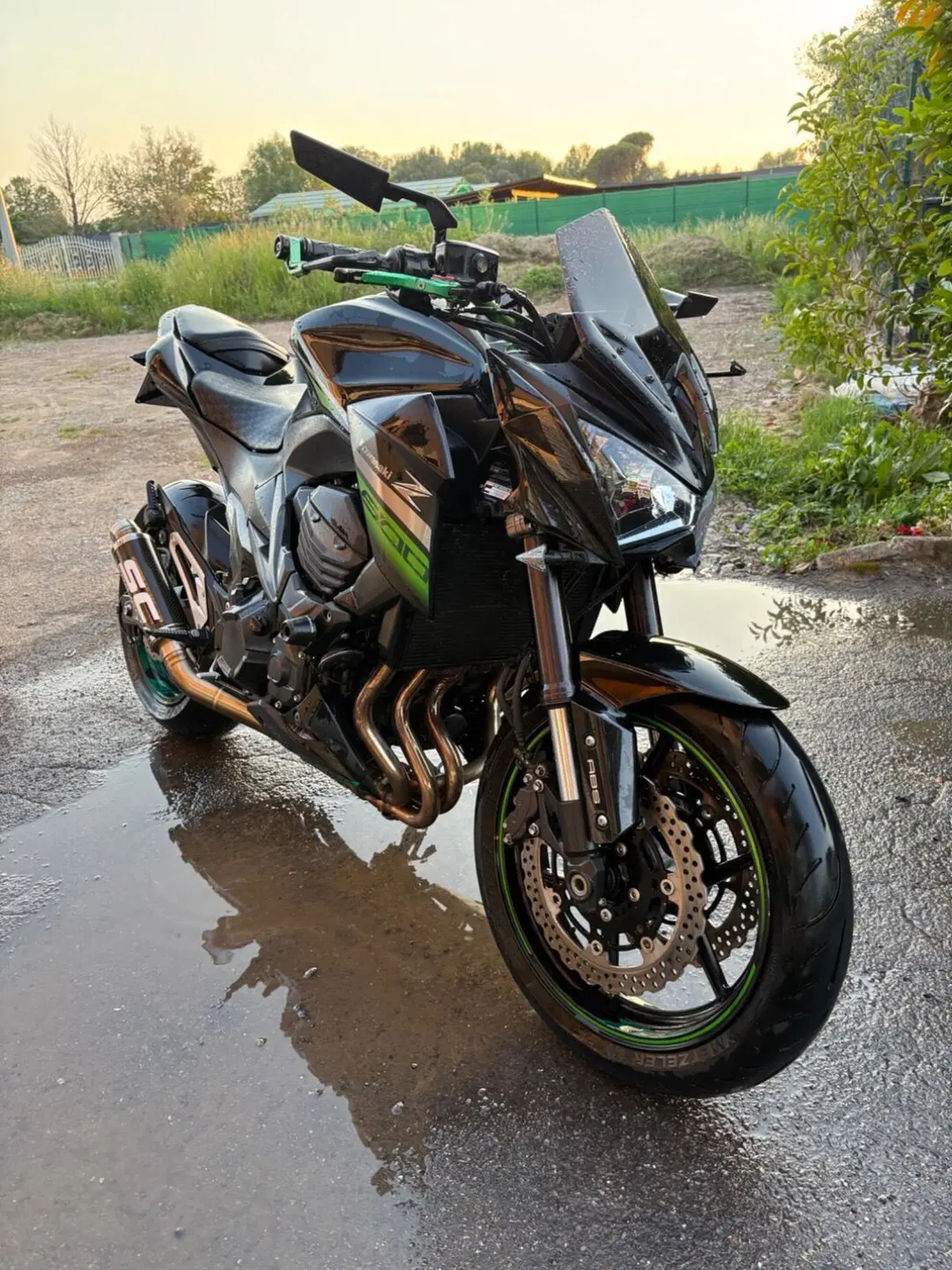 Kawasaki Z 800 e ABS (2012 - 16) (6)
