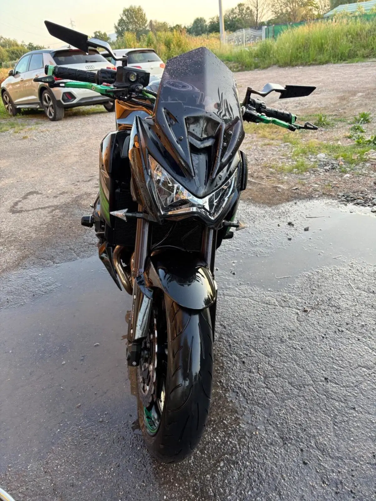 Kawasaki Z 800 e ABS (2012 - 16) (7)