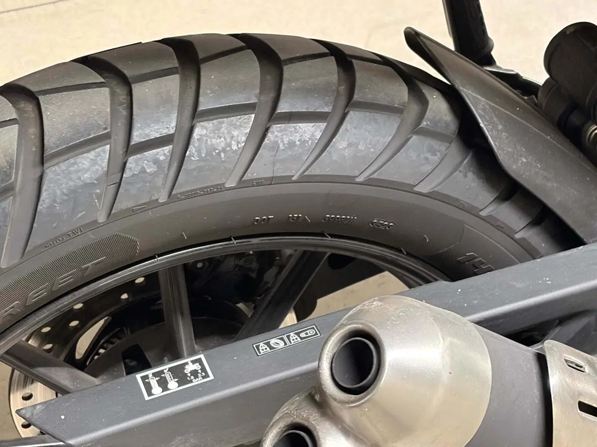 Triumph Scrambler 400 X (2024 - 26) (10)