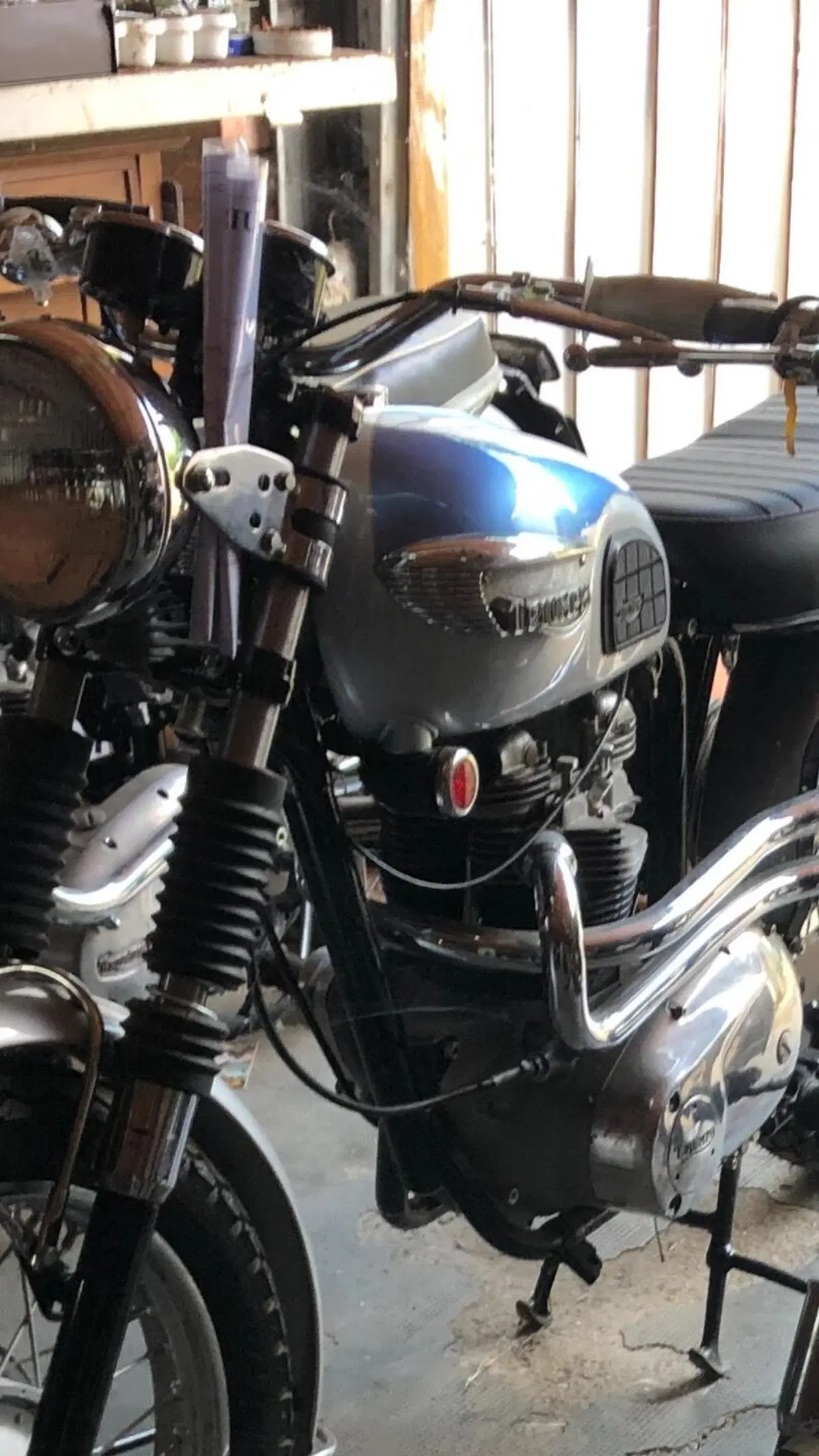Triumph T120 Bonneville  (9)