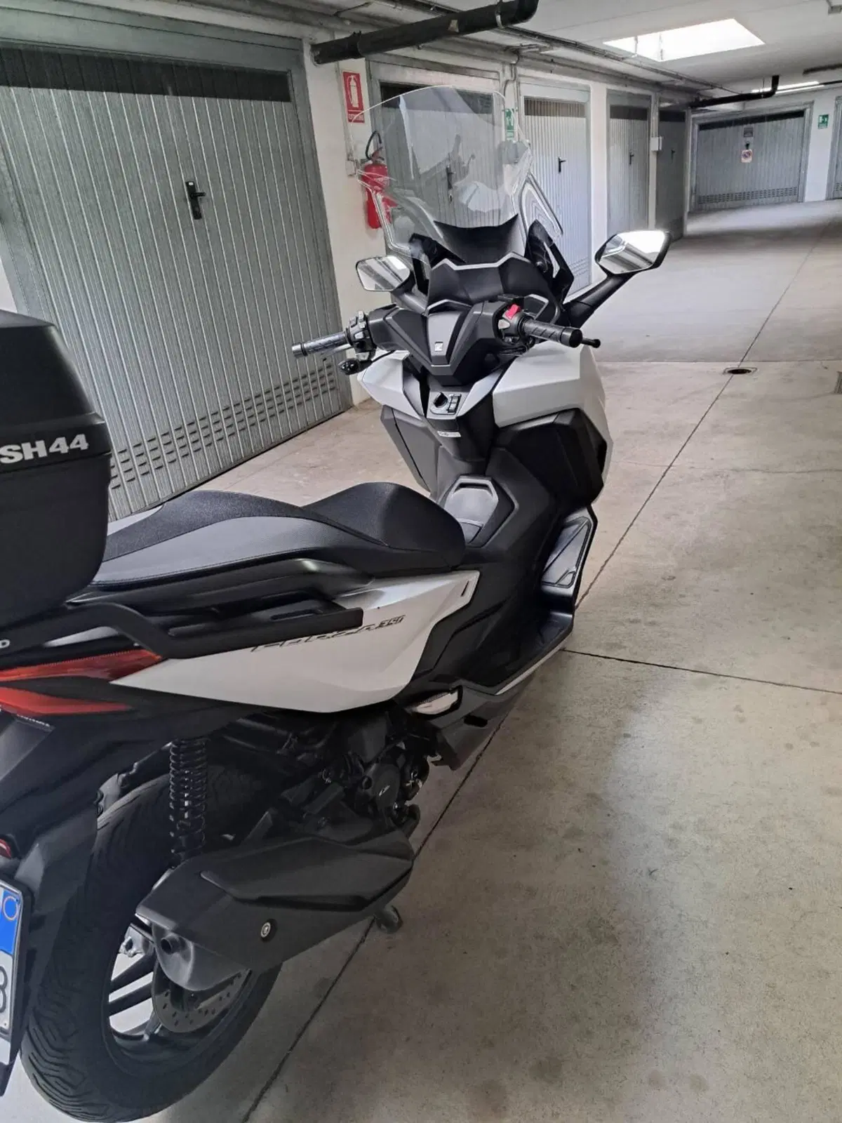 Honda Forza 350 (2022 - 24) (3)