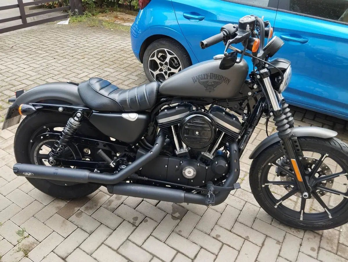 Harley-Davidson 883 Iron (2017 - 20) - XL 883N