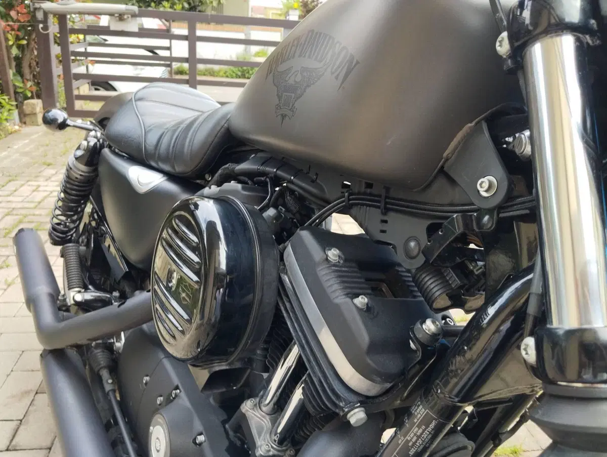 Harley-Davidson 883 Iron (2017 - 20) - XL 883N (3)