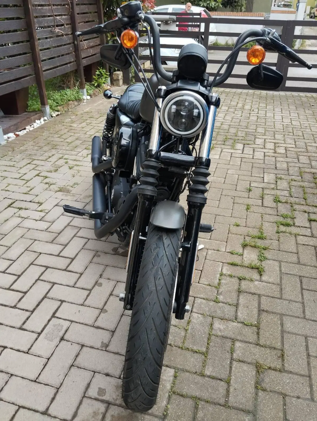 Harley-Davidson 883 Iron (2017 - 20) - XL 883N (6)