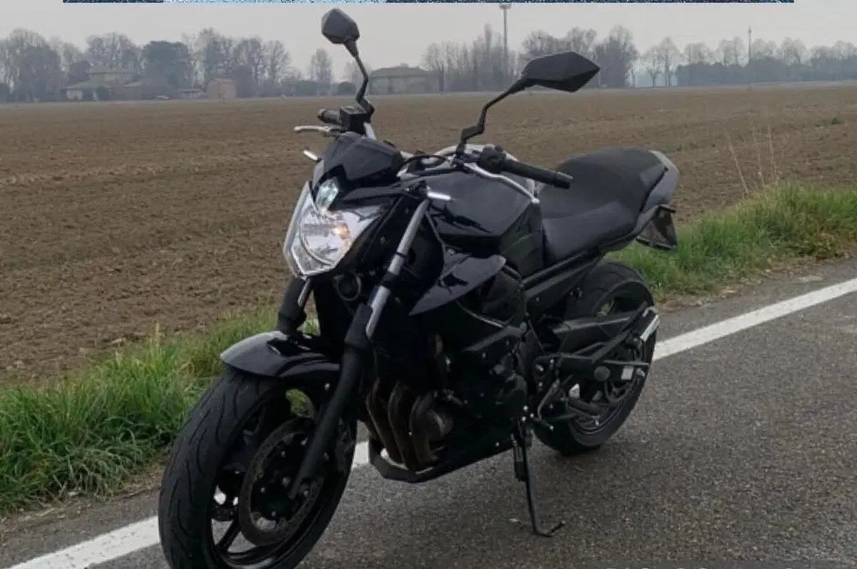 Yamaha XJ6 (2008 - 15) (2)
