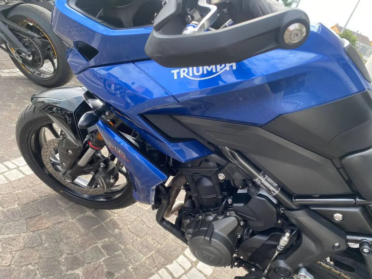 Triumph Tiger Sport 660 (2022 - 24) (10)