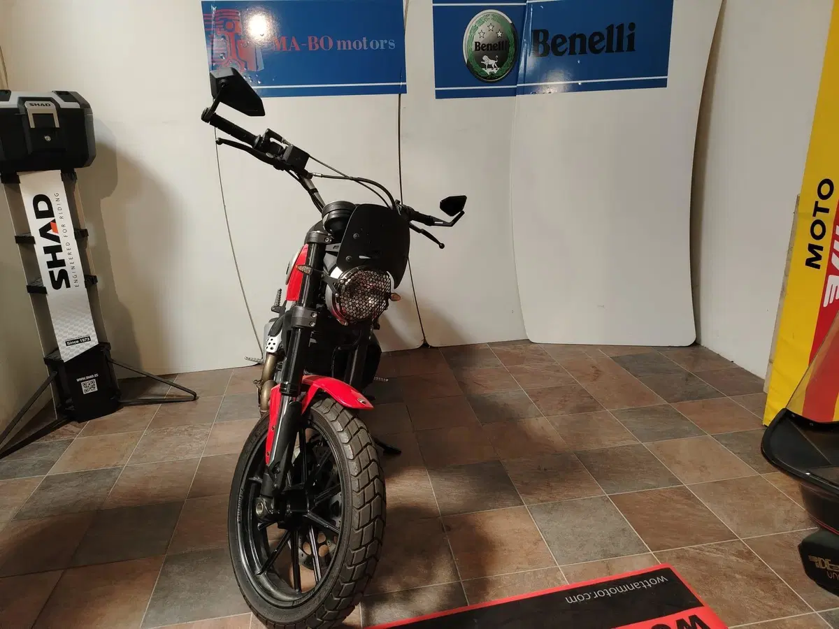 Ducati Scrambler 800 Icon (2015 - 16) (2)