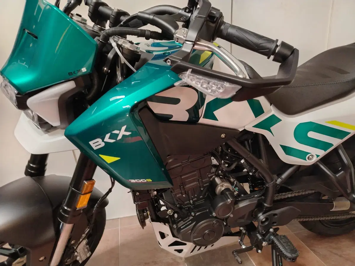 Benelli BKX 300 S (2026) (3)