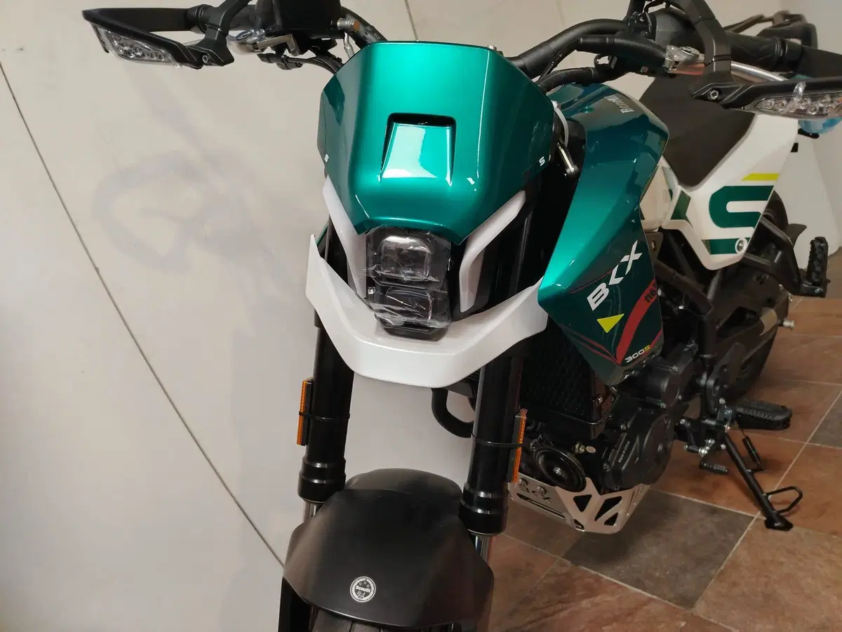 Benelli BKX 300 S (2026) (4)