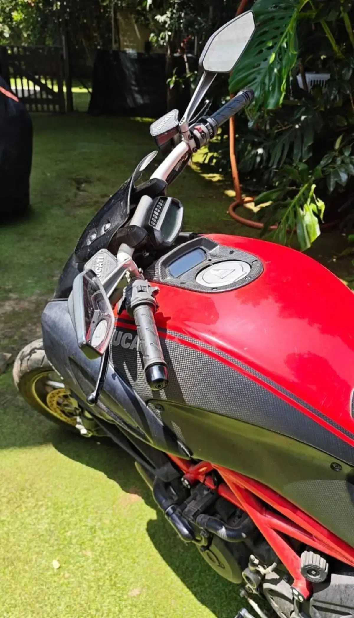 Ducati Diavel 1200 (2010 - 13) (13)