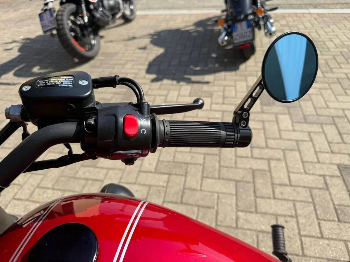 Triumph Bonneville T100 (2008 - 16) (13)
