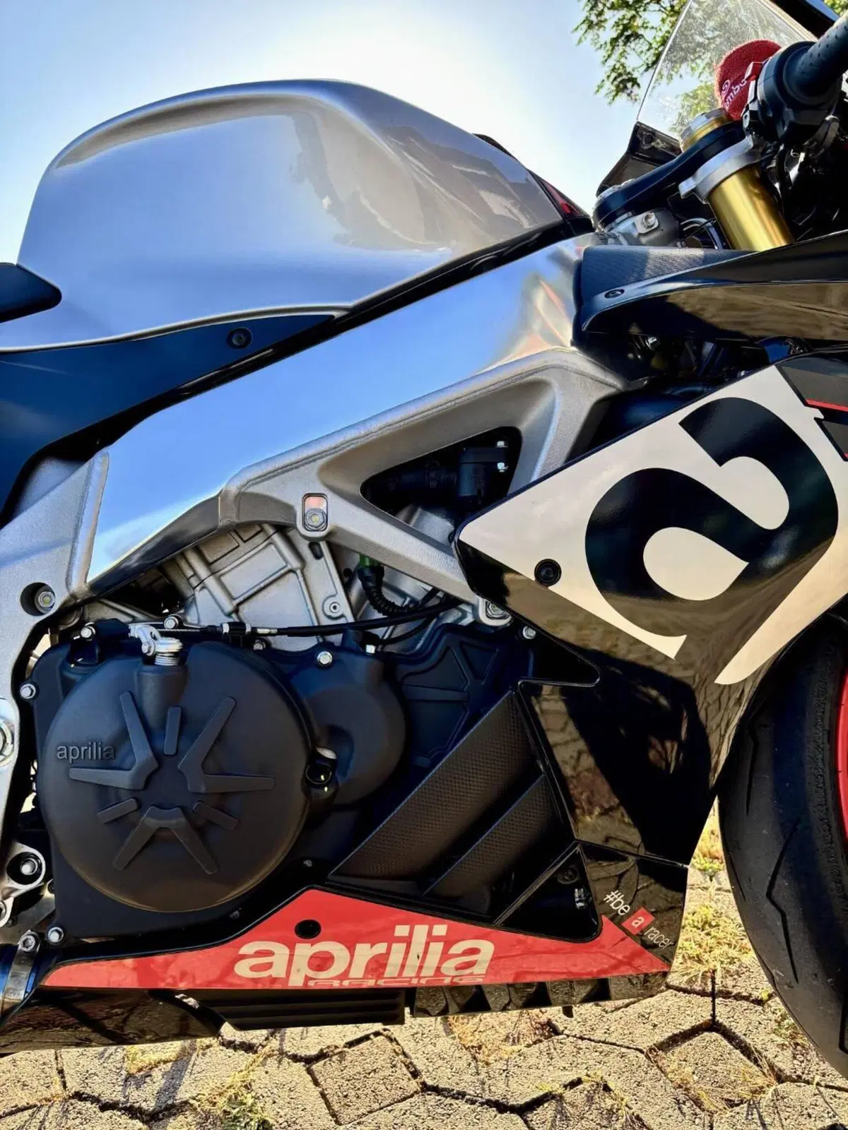 Aprilia RSV4 RR (2019 - 20) (8)