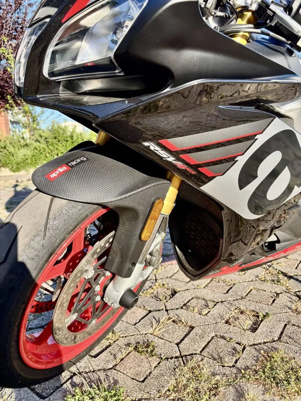 Aprilia RSV4 RR (2019 - 20) (9)