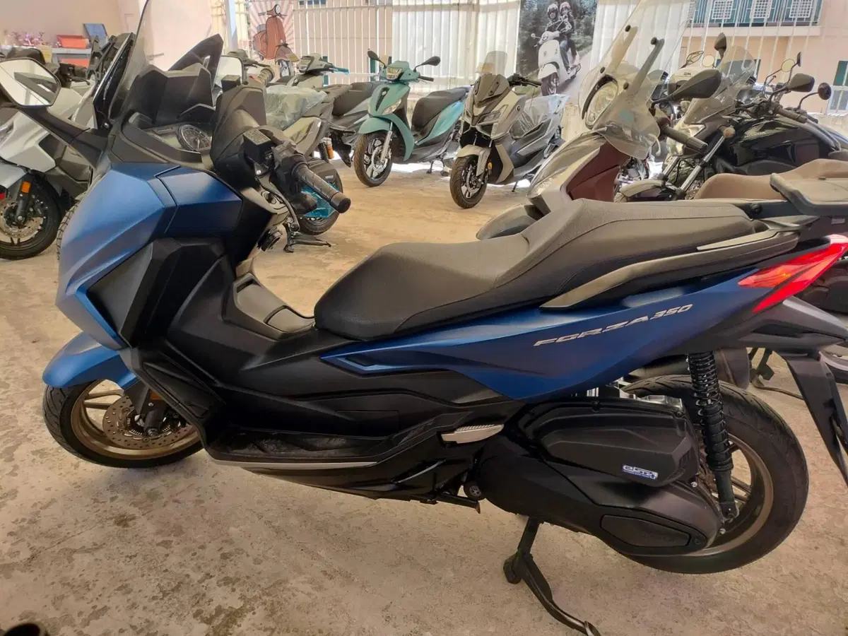 Honda Forza 350 (2022 - 24) (3)