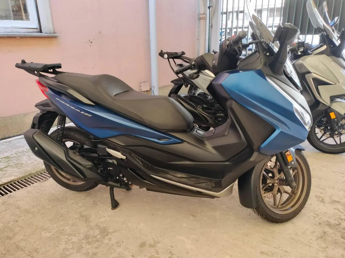 Honda Forza 350 (2022 - 24)