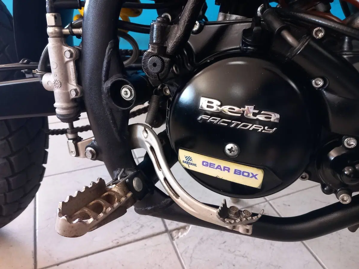 Betamotor RR 50 Enduro (2011 - 18) (12)