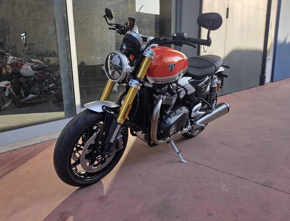 Triumph Speed Twin 1200 RS (2025 - 26) (6)