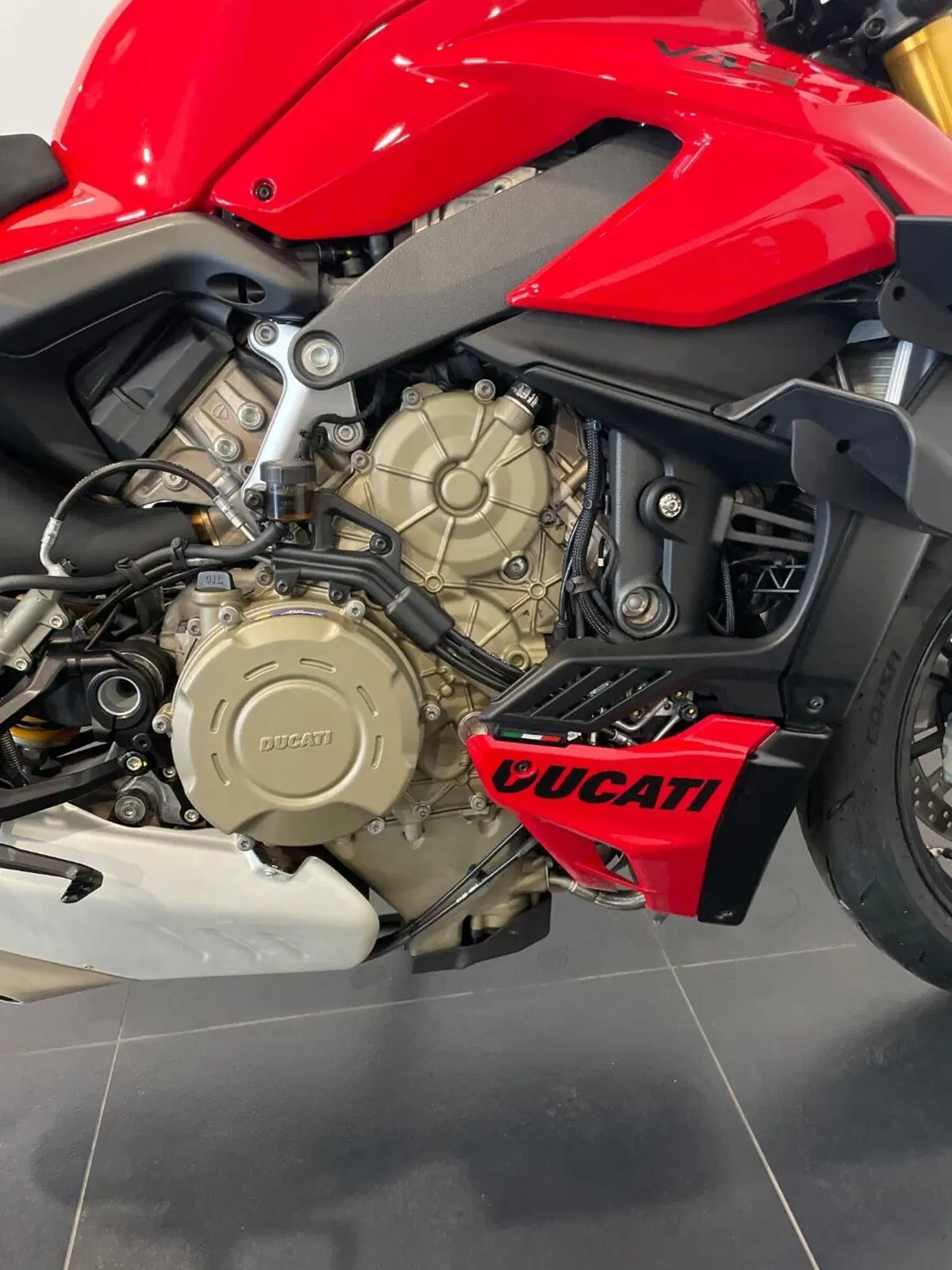 Ducati Streetfighter V4 S (2023 - 24) (7)