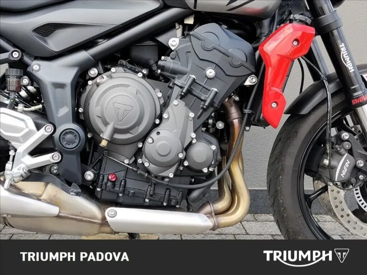Triumph Trident 660 (2021 - 24) (3)