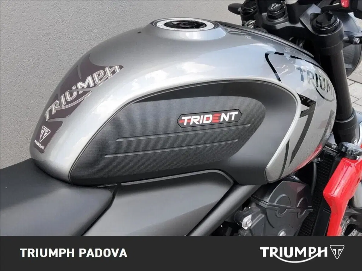 Triumph Trident 660 (2021 - 24) (4)