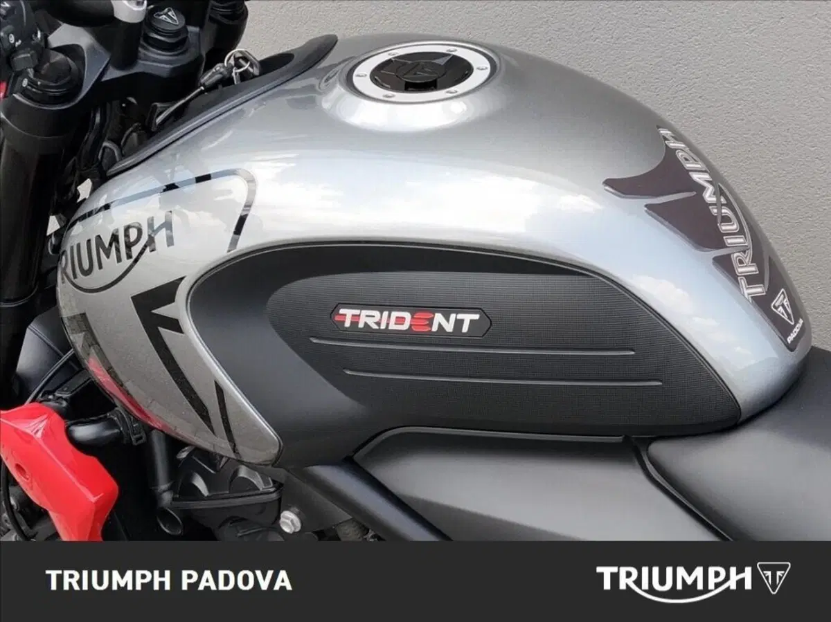 Triumph Trident 660 (2021 - 24) (10)