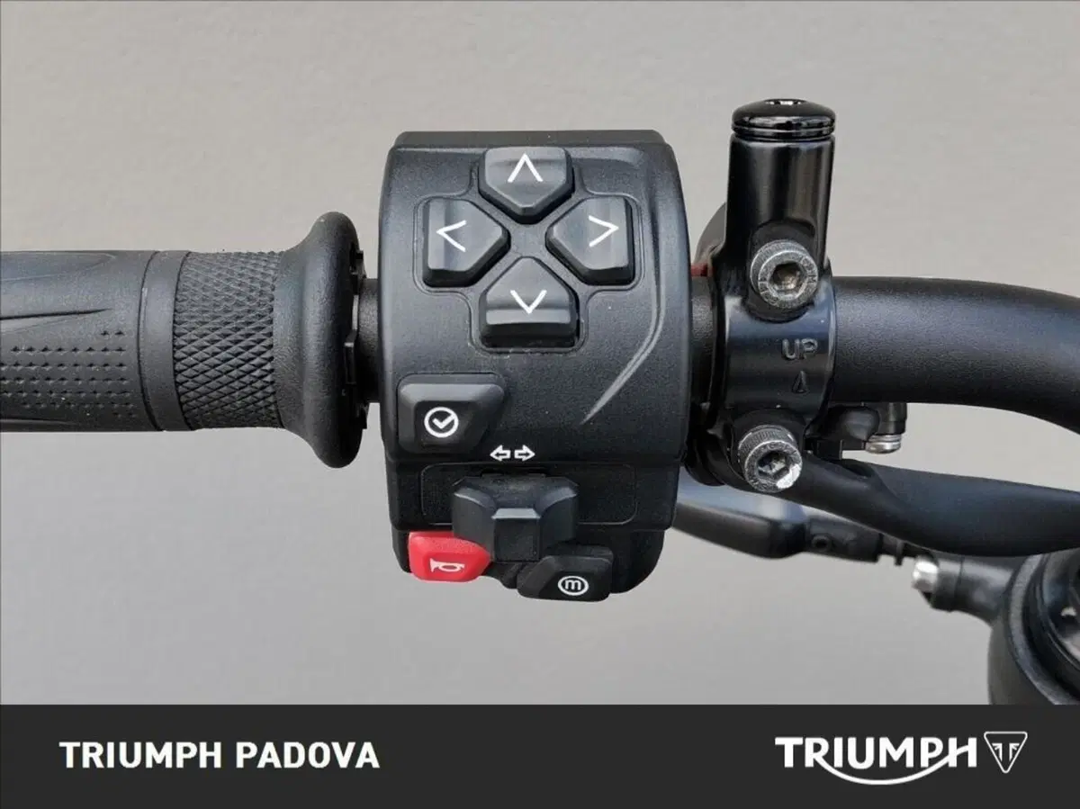 Triumph Trident 660 (2021 - 24) (12)