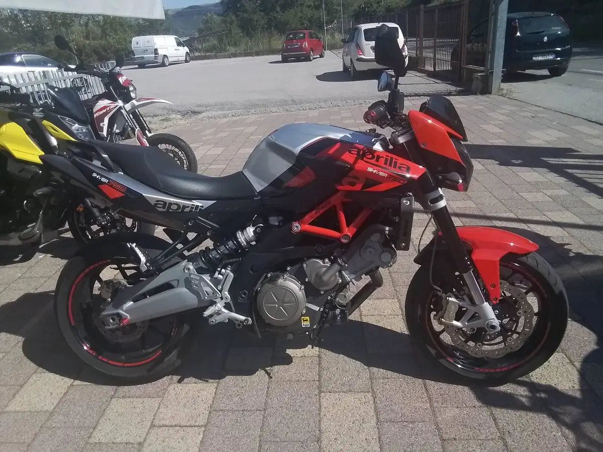 Aprilia Shiver 750 (2010 - 16) (4)