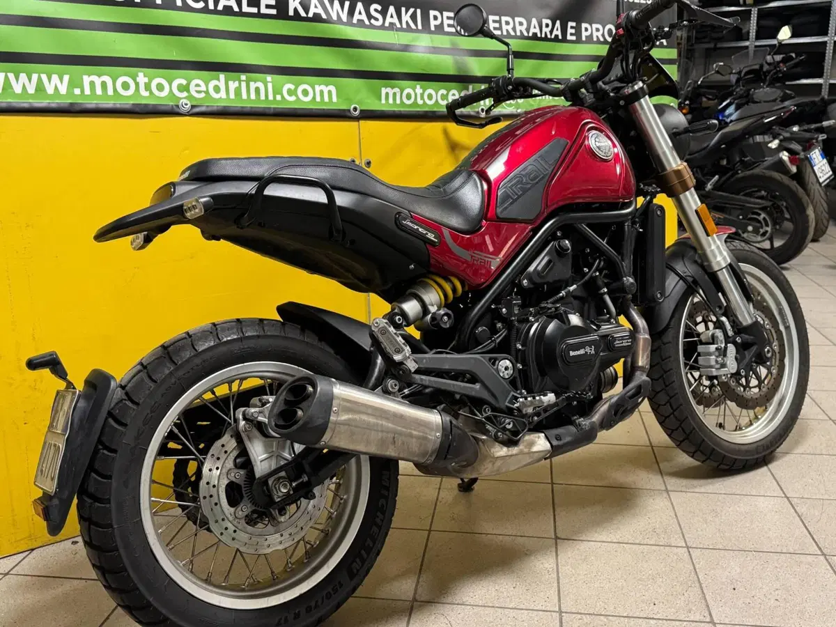 Benelli Leoncino 500 (2021 - 25) (6)