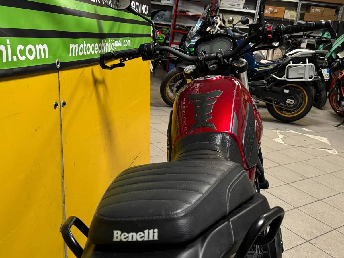 Benelli Leoncino 500 (2021 - 25) (4)