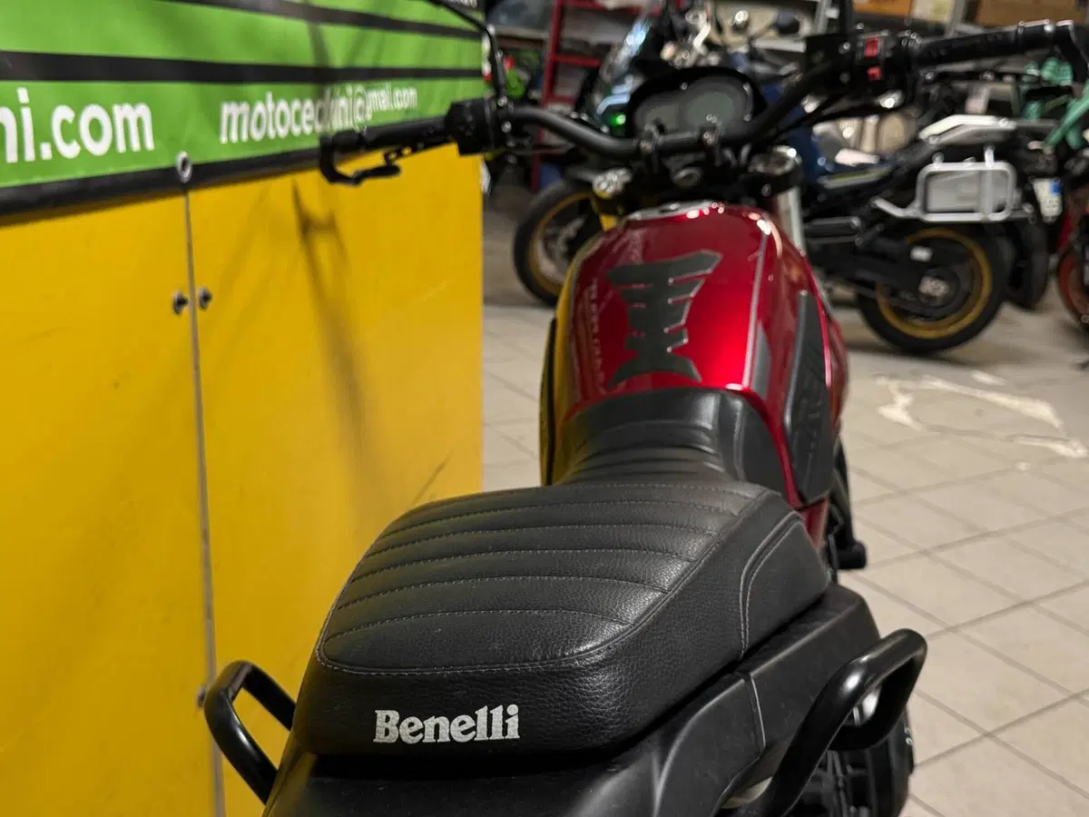 Benelli Leoncino 500 (2021 - 25) (9)