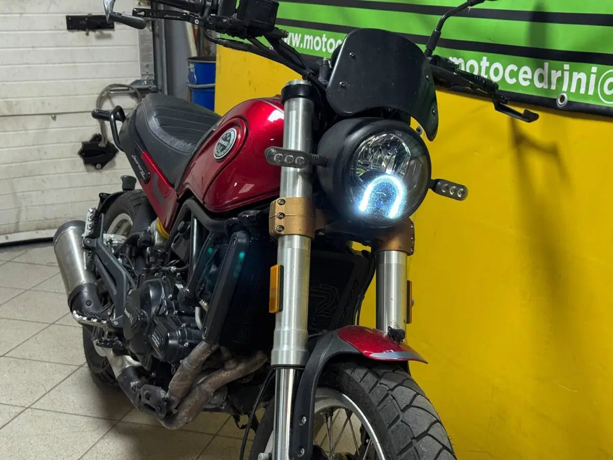 Benelli Leoncino 500 (2021 - 25) (10)