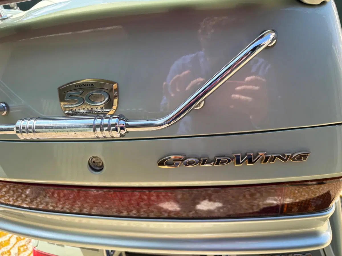 Honda GL 1500 Gold Wing (1994 - 99) (16)