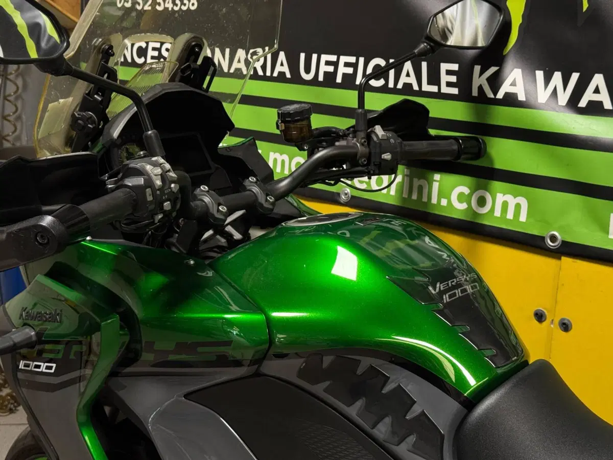 Kawasaki Versys 1000 SE (2019 - 20) (8)