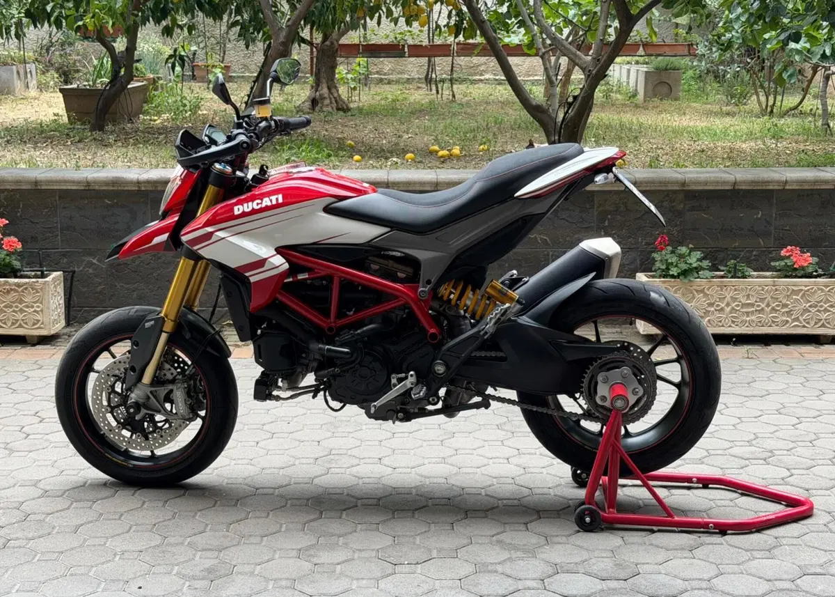 Ducati Hypermotard 939 SP (2016 - 18) (2)