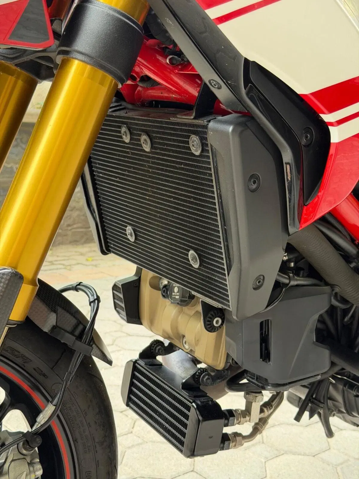 Ducati Hypermotard 939 SP (2016 - 18) (9)