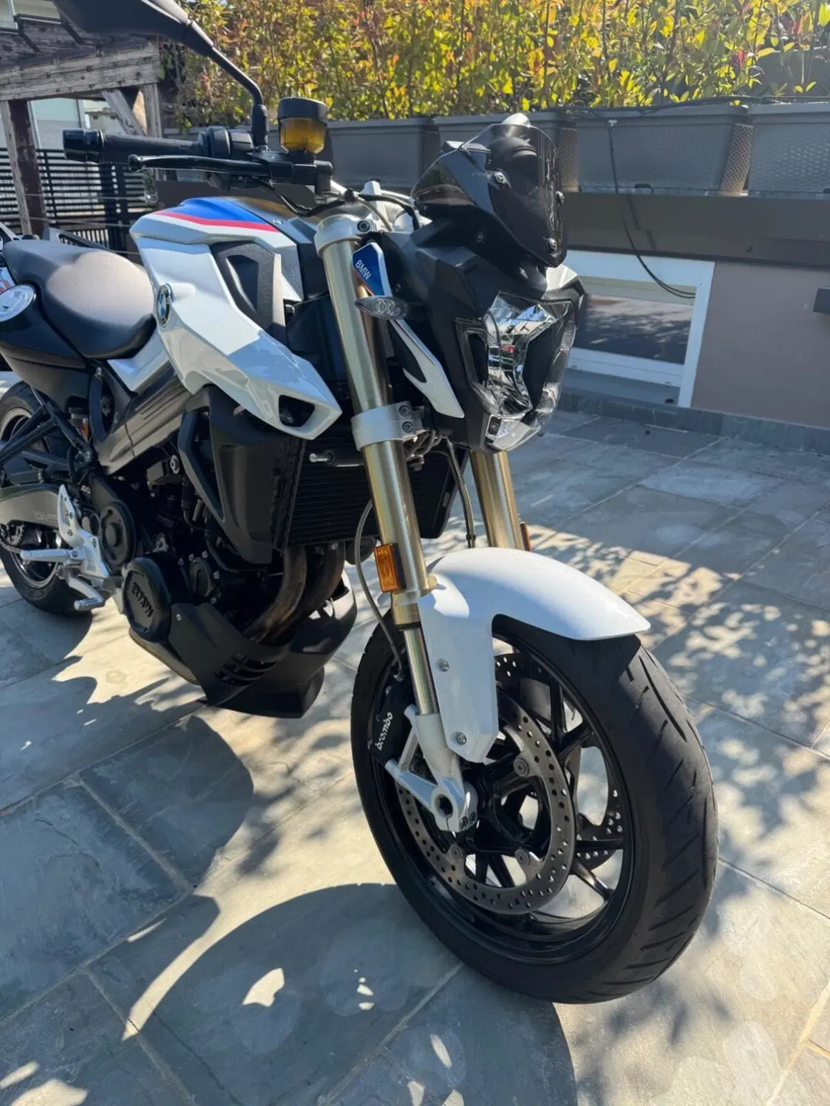 Bmw F 800 R (2017 - 20) (7)