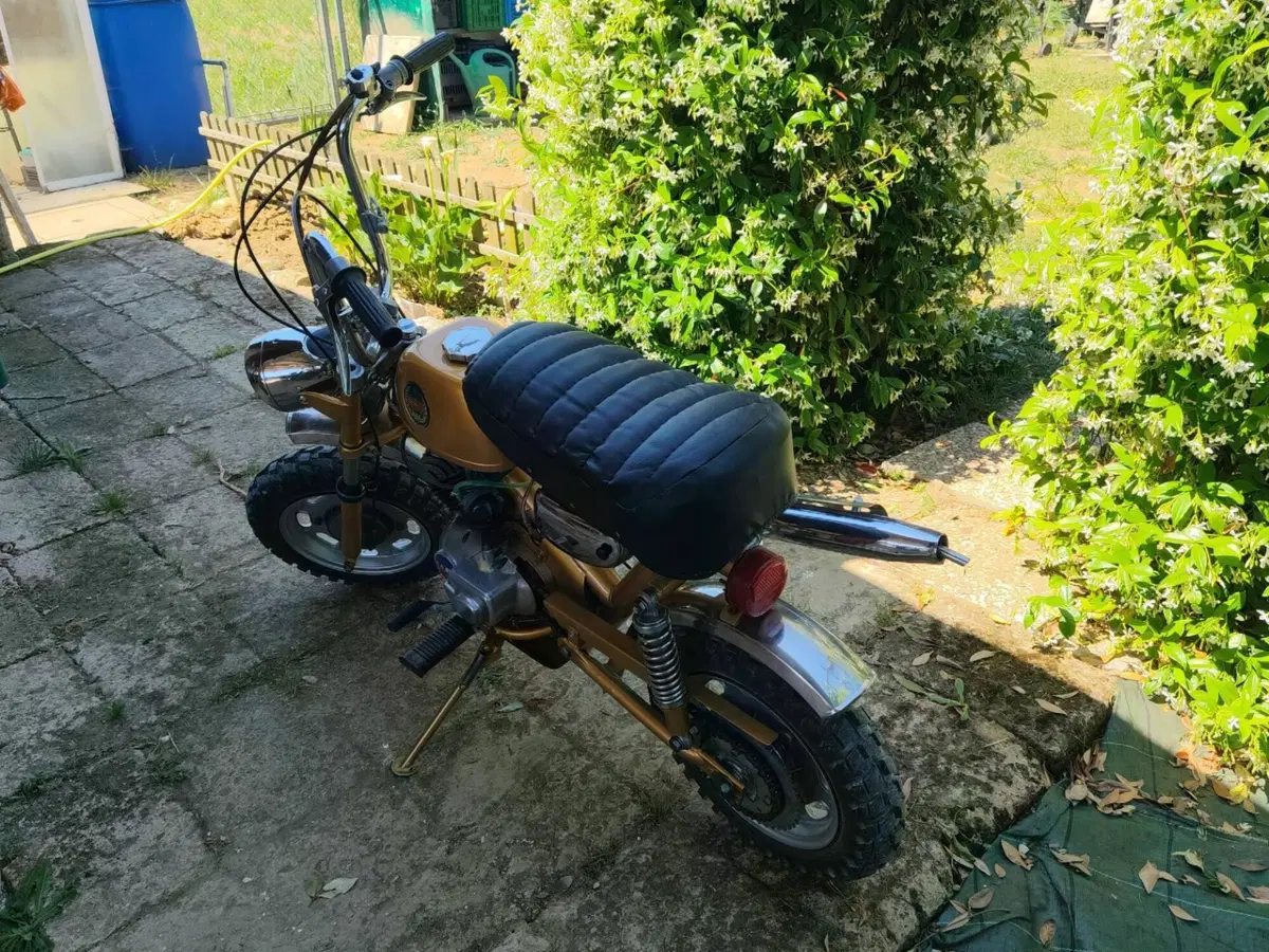 Benelli Mini Bike Cross Minicross Minibike cross (9)