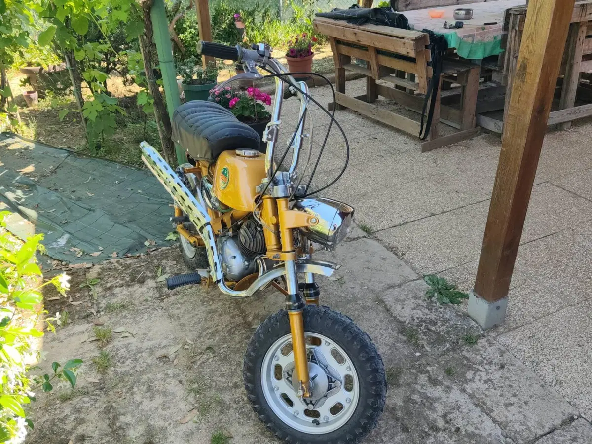 Benelli Mini Bike Cross Minicross Minibike cross (10)