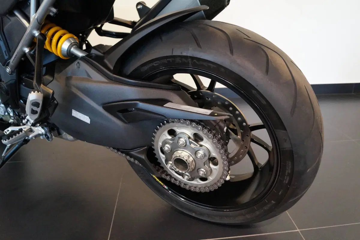 Ducati Multistrada V4 RS (2024 - 25) (7)