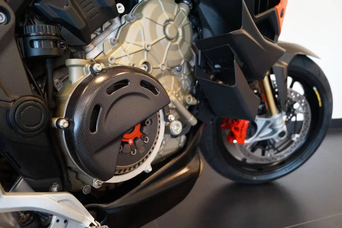 Ducati Multistrada V4 RS (2024 - 25) (15)