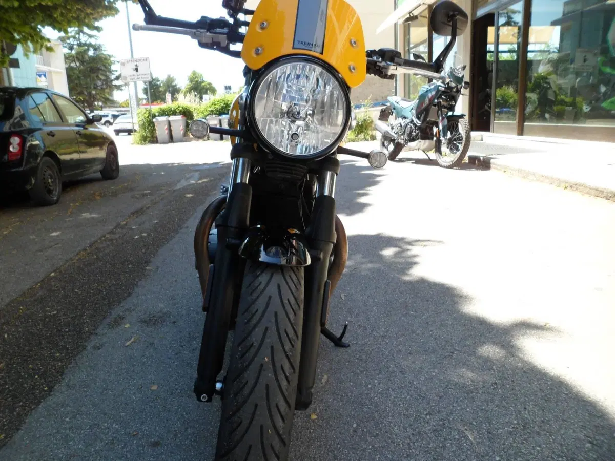 Triumph Street Cup 900 (2017 - 19) (10)