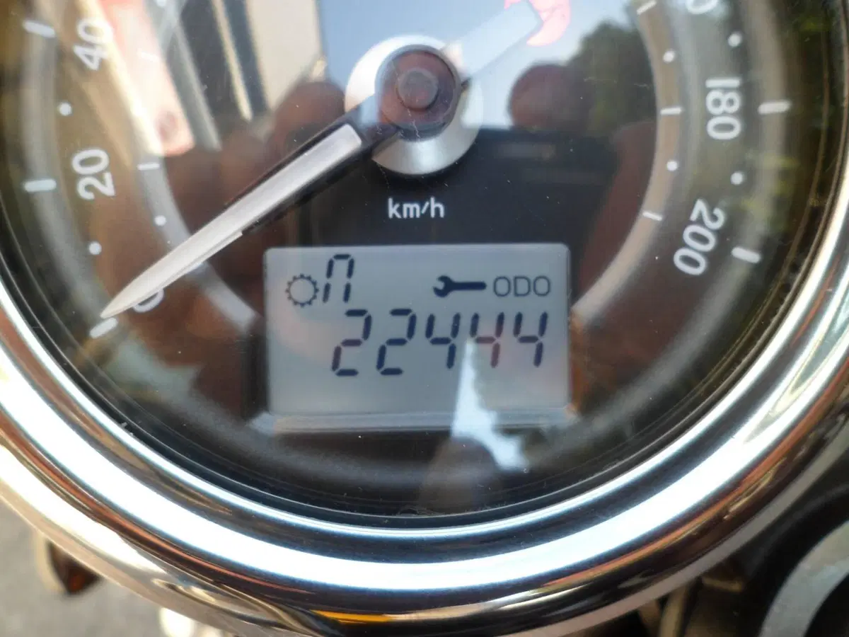 Triumph Street Cup 900 (2017 - 19) (12)