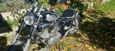 Yamaha XV 535 (1988 - 97) usata