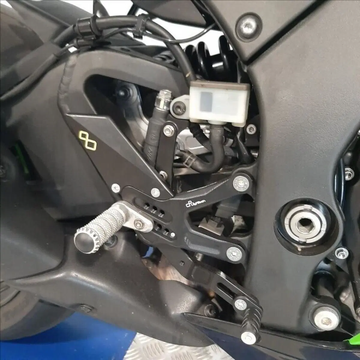 Kawasaki Ninja 1000 ZX-10R (2021 - 25) (10)