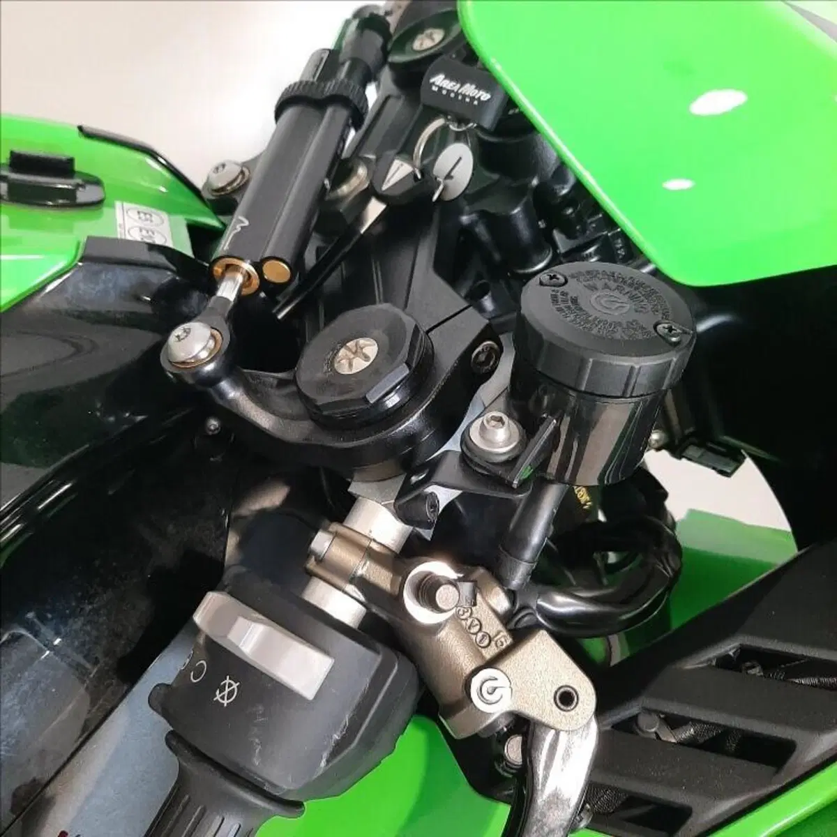 Kawasaki Ninja 1000 ZX-10R (2021 - 25) (13)