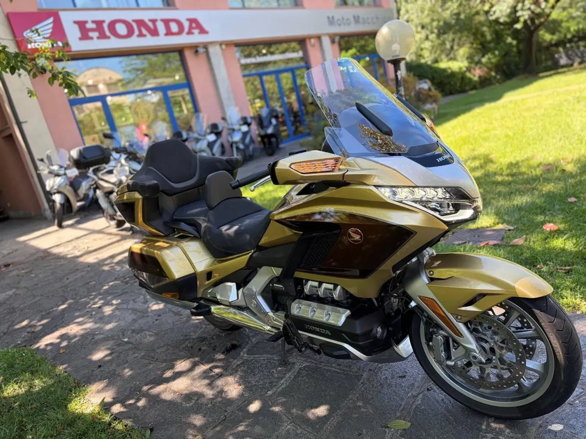 Honda GL 1800 Gold Wing Tour 50° Anniversario (2025 - 26) (4)